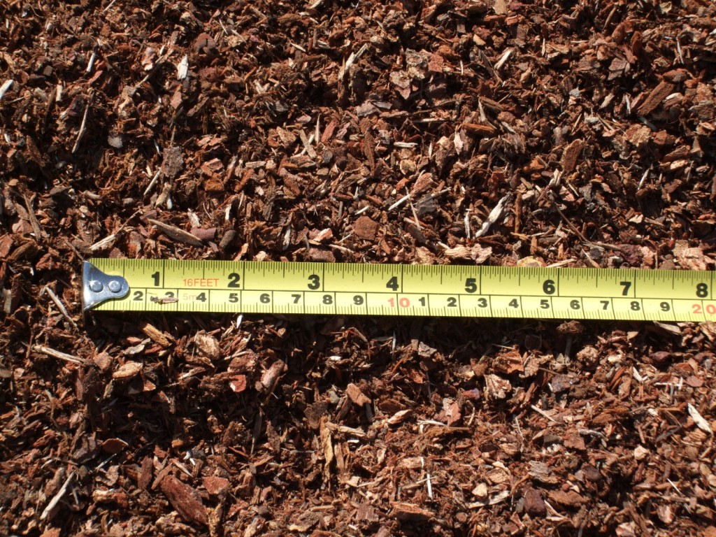 1 8 3 Fir Bark 1 8 3 Fir Bark